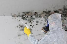 Best Residential Mold Inspection & Testing in West Hill, OH